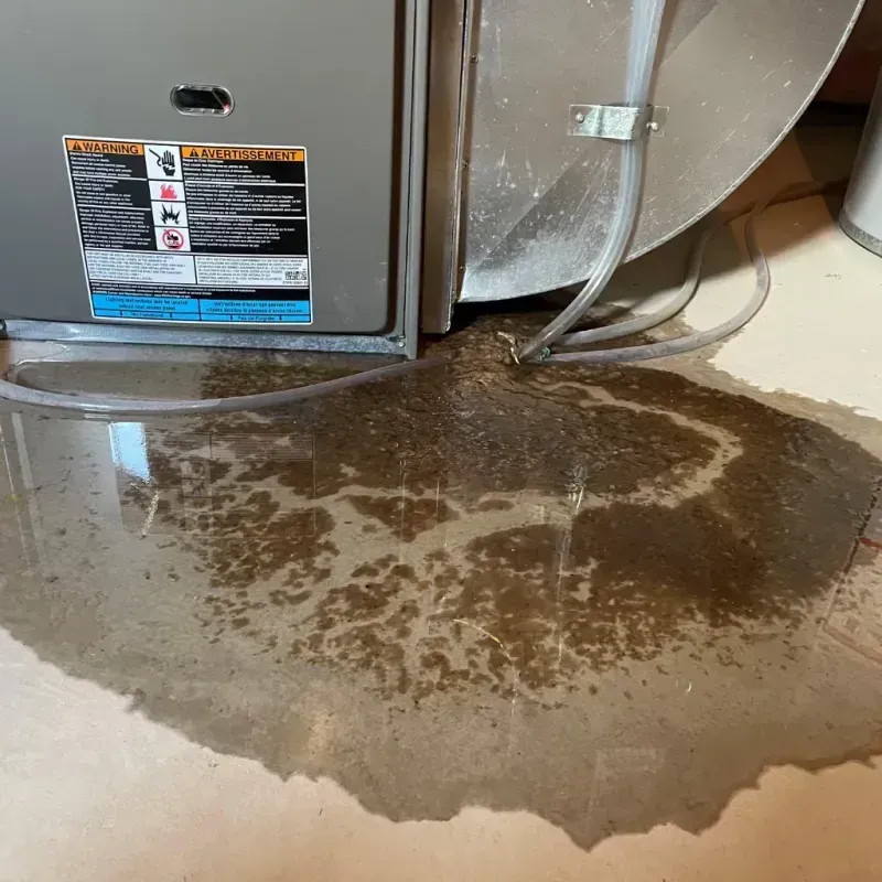 Appliance Leak Cleanup in Baldwin City, KS